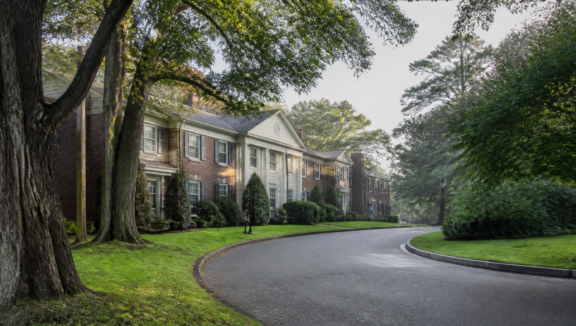 Tree-lined condominium drive